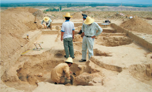 専門分野交流の様子