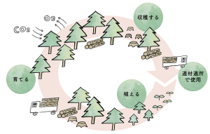 奈良の木をもっと暮らしに!サイクル図