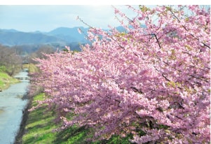 インスタグラム写真展のイメージ写真