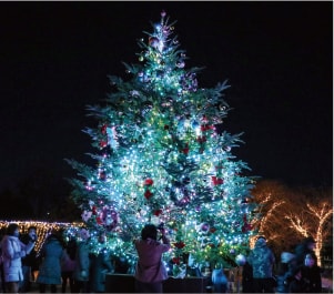 第6回馬見クリスマスウィーク2