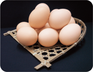 大和なでしこ卵 写真