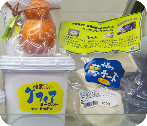 植村 ケフィアヨーグルト