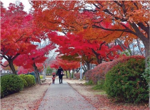 大中公園の紅葉