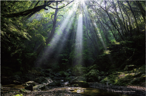 川上村さんぽみち