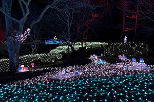 しあわせ回廊なら瑠璃絵イルミネーション2