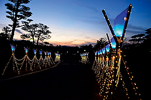 しあわせ回廊なら瑠璃絵イルミネーション3