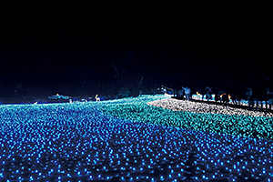 しあわせ回廊なら瑠璃絵イルミネーション4