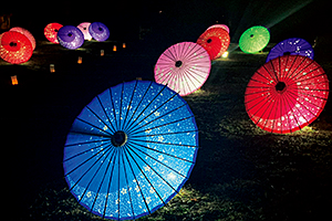 県営馬見丘陵公園「梅と桜の花回廊」1