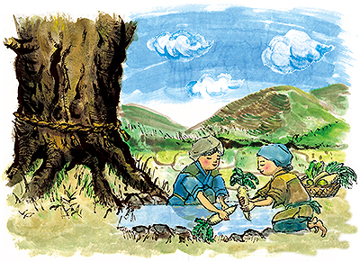 大川杉イラスト