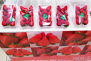 東京果物専門店で「古都華」をPR!! 1