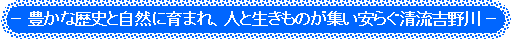 豊かな歴史と自然に育まれ、人と生き物が集い安らぐ清流吉野川