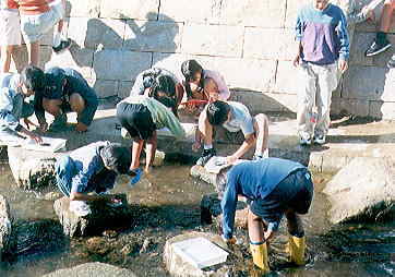 佐保川水辺の楽校2