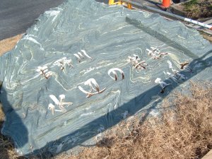 <吉野川>五條市五條1丁目（水辺の楽校）2