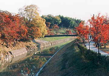 竜田川　秋の紅葉