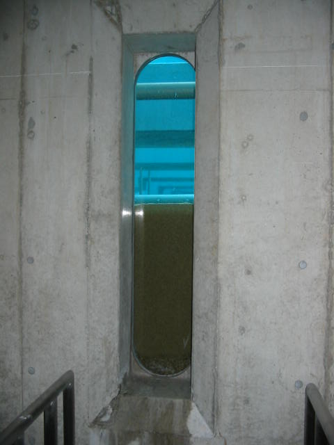 急速ろ過池断面