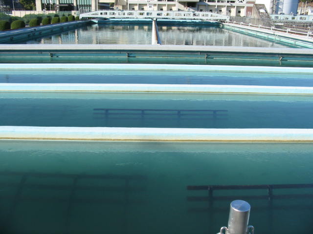 フロック形成池1