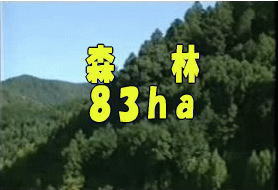 森林83ヘクタール