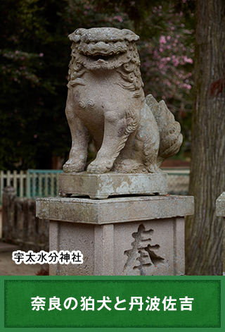 奈良の狛犬と丹波佐吉