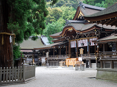 くすり道の写真2