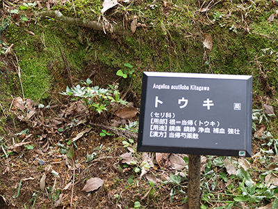 くすり道の写真5