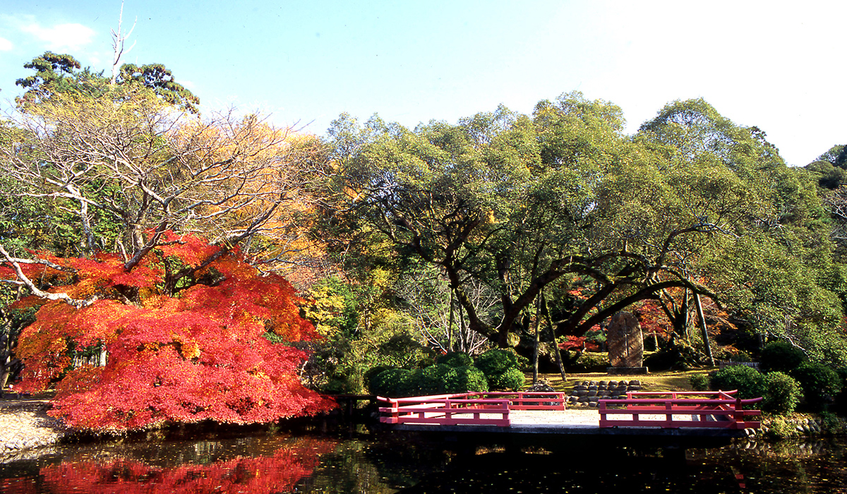 春日大社萬葉植物園の写真1