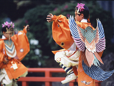 春日大社萬葉植物園の写真3