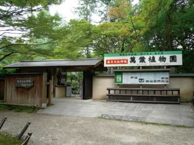 春日大社萬葉植物園の写真5