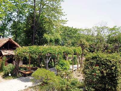 田村薬草園（田村薬品工業株式会社）の写真2