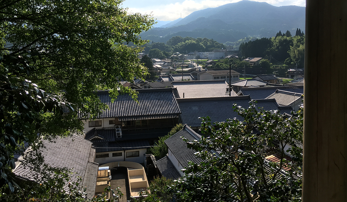 森野旧薬園の写真1