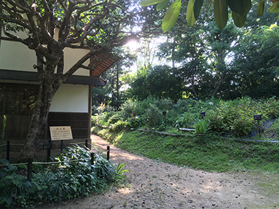 森野旧薬園の写真4