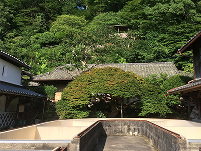 森野旧薬園の写真5