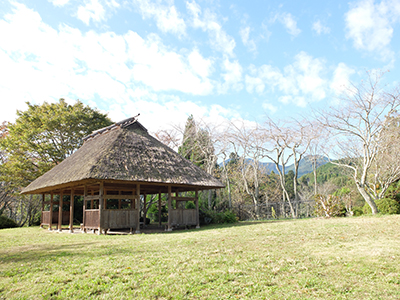 宇陀のかぎろひの丘・万葉公園の写真2