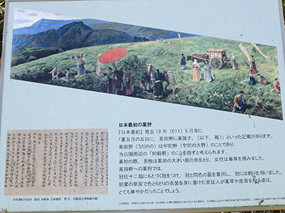 宇陀のかぎろひの丘・万葉公園の写真5