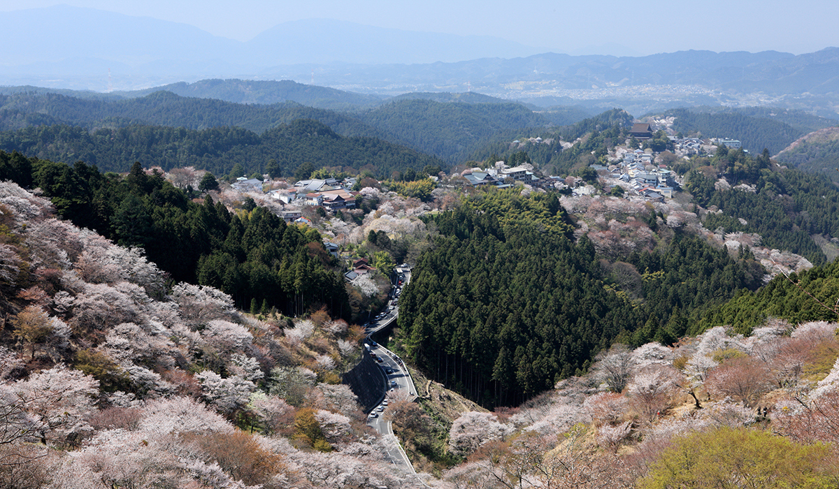 金峯山寺の写真1