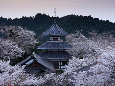 金峯山寺の写真5