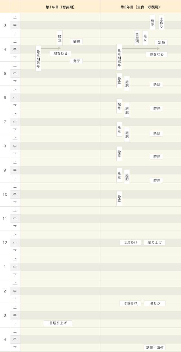 作付け体系の表画像