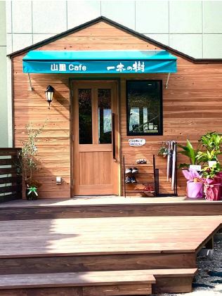 山里cafe 一本の樹の写真3