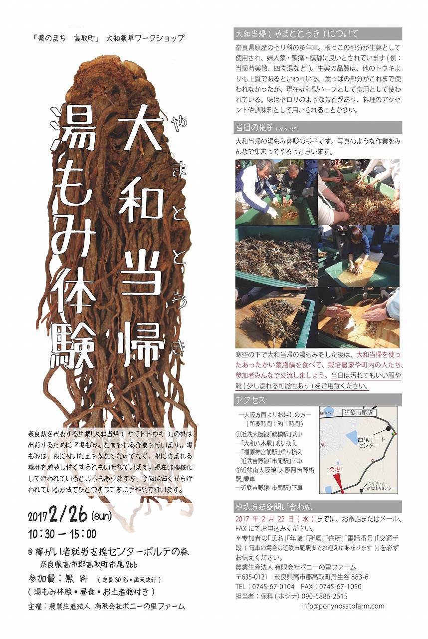 大和当帰 湯もみ体験チラシ