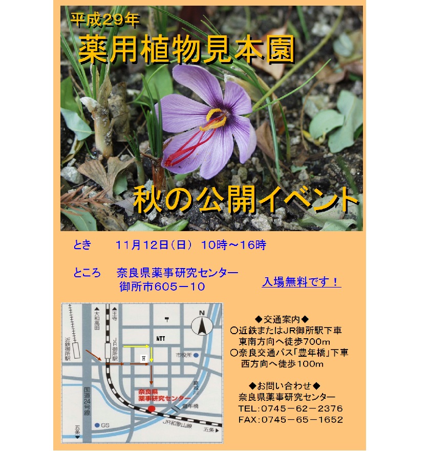 薬用植物見本園 秋の公開イベントチラシ