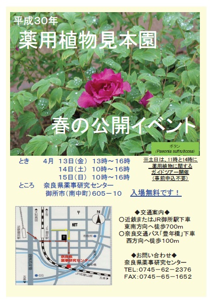 薬用植物見本園　春の公開イベントチラシ
