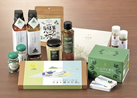 なら再発見フェスタ、五感で感じる大和美フェアチラシ