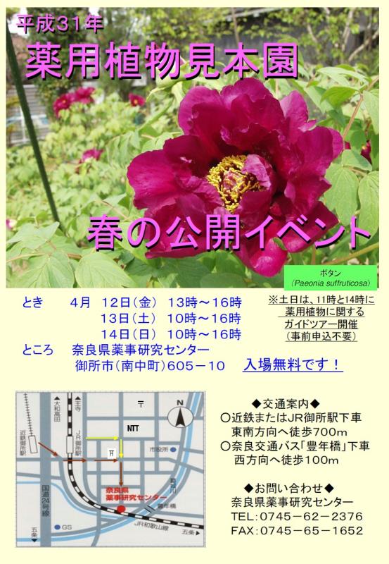 薬用植物見本園　春の公開イベントチラシ