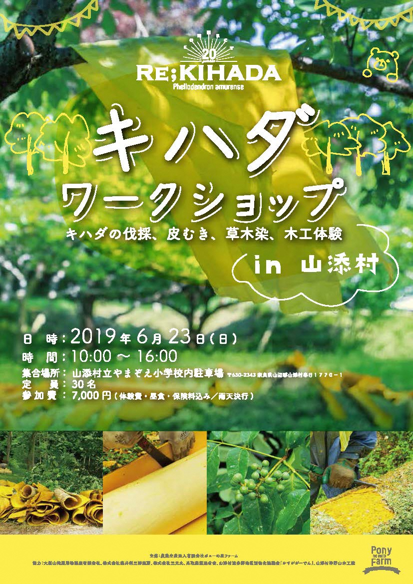 キハダワークショップin山添村チラシ