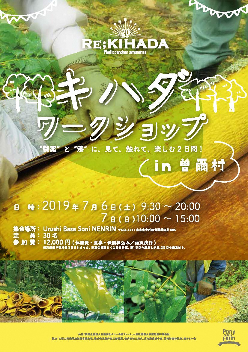 キハダワークショップin曽爾村チラシ
