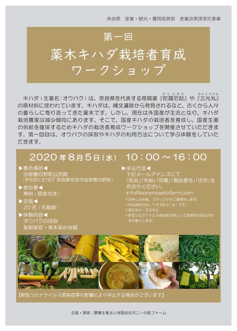 第1回薬木キハダ栽培者育成ワークショップチラシ