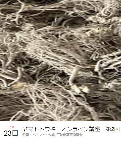 宇陀市薬草協議会　ヤマトトウキオンライン講座チラシ