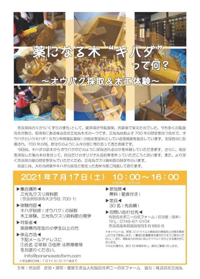 キハダのワークショップ「薬になる木”キハダ”って何？～オウバク採取＆木工体験～」チラシ
