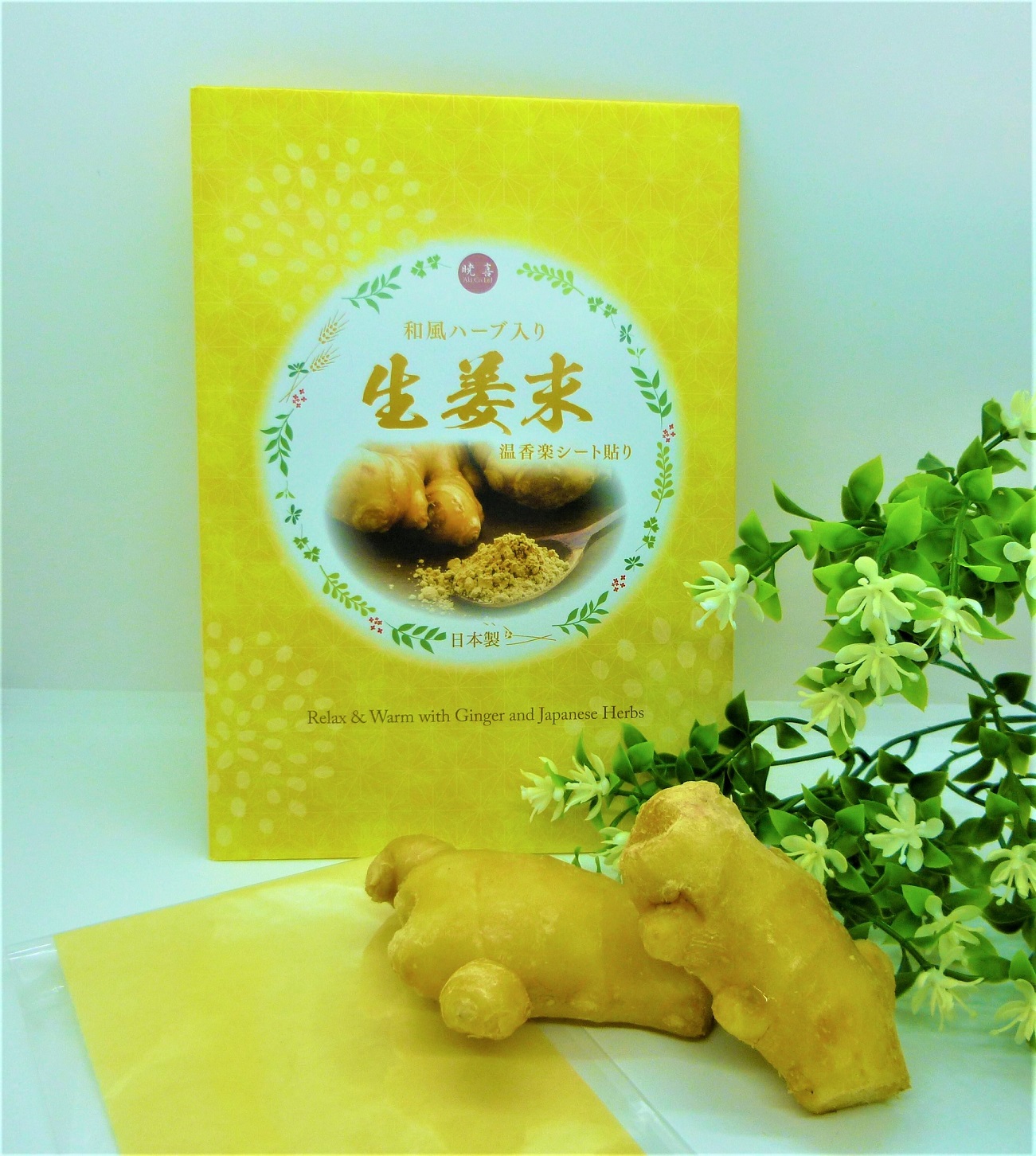 温香楽　生姜シートの写真1