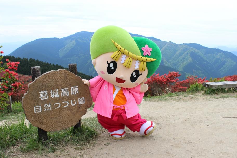 ゴセンちゃん