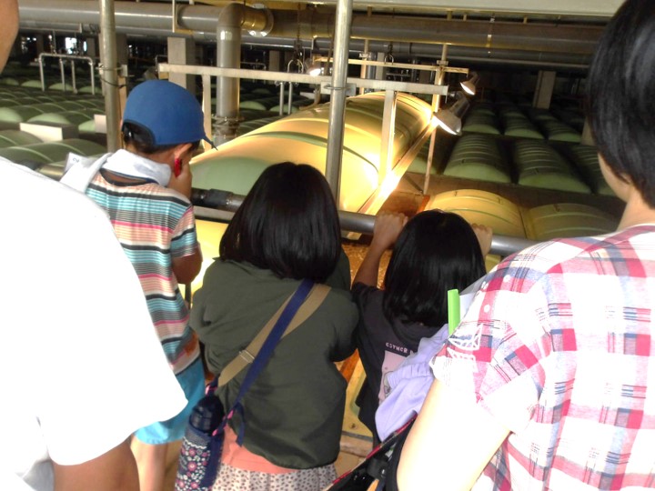 生物反応水槽見学の様子